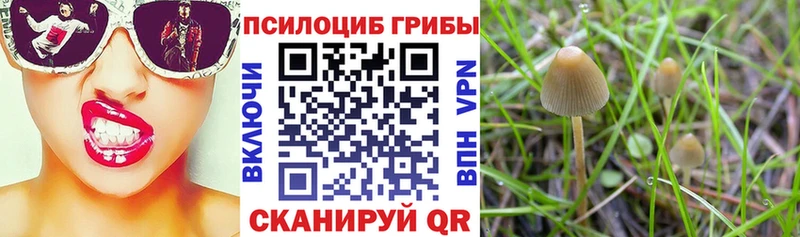 как найти наркотики  Аксай  Галлюциногенные грибы MAGIC MUSHROOMS 